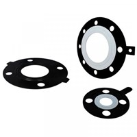 Flange Shield and Gaskets